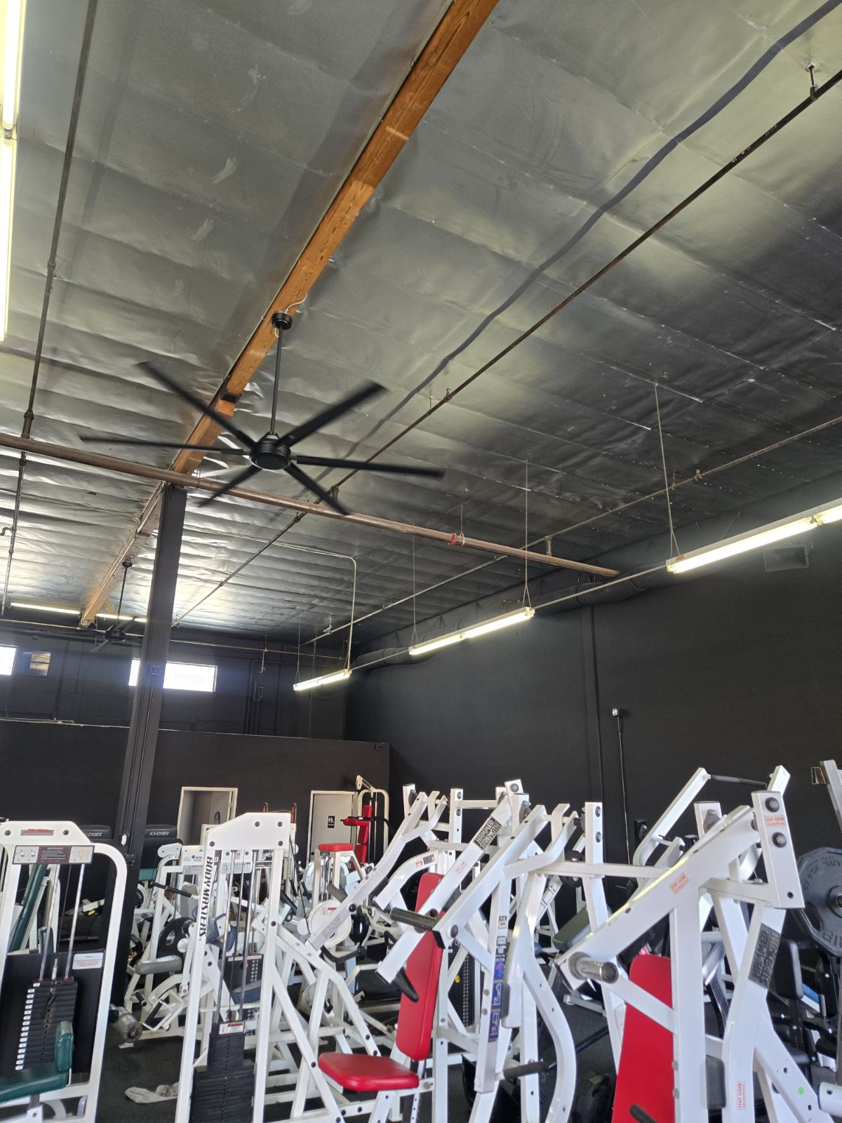 Gym Ceiling Fan & Lighting